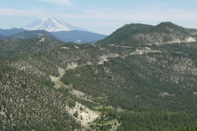 "2009 blast zone with Mt Adams"