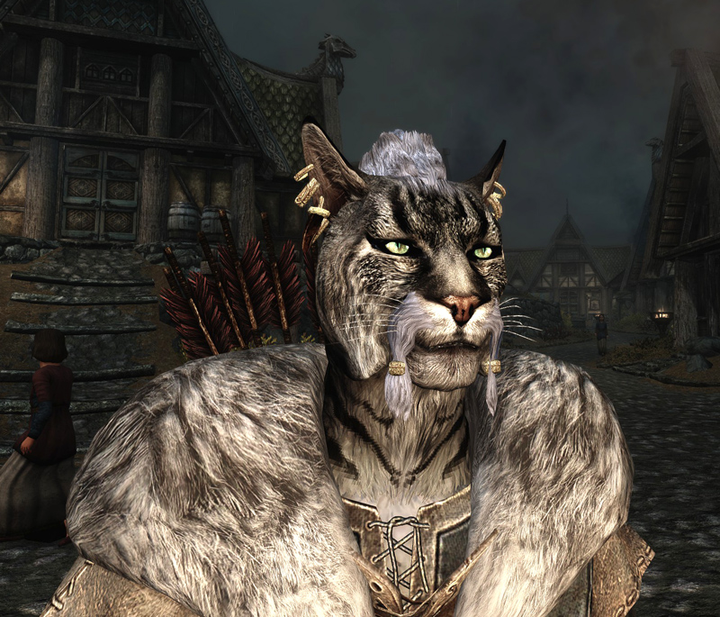 SkyrimCoverKhajiitScr1