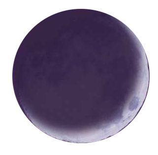 Moon Icon